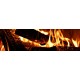 baner-1